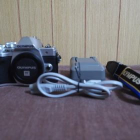 【チェック品】OLYMPUS OM-D E-M10 Mark III シルバー