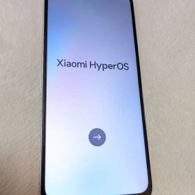 Xiaomi Redmi 12 5G ポーラーシルバー SIMフリー