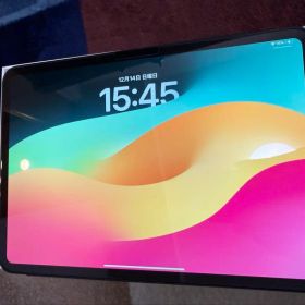 Apple iPad Pro 11インチ M4 スペースブラック おまけ付き