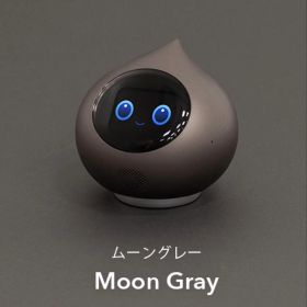 ★新品★ ROMI Lacatan ムーングレー ROMI-L01GY ロミィ