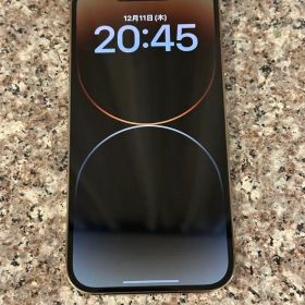 Apple iPhone 14 Pro シルバー 本体 256GB