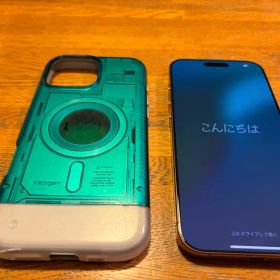 【美品・バッテリー99％】iPhone 16 Pro Max 256GB