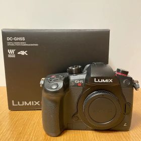 LUMIX DC-GH5S