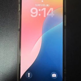 Apple iPhone 11 Pro シルバー 256GB ケース付き