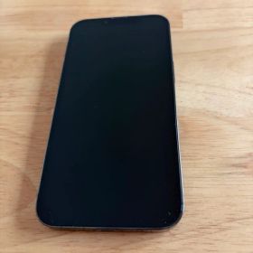 Apple iPhone 13 Pro SIMフリー アルパイングリーン