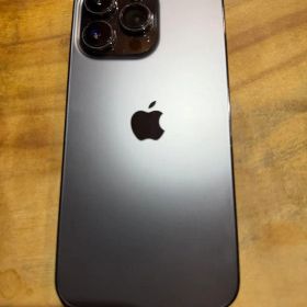 Apple iPhone 13 Pro グラファイト 256GB