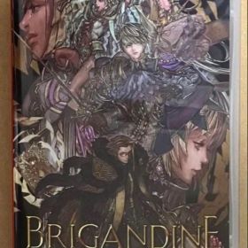 ブリガンダイン ルーナジア戦記 ニンテンドースイッチ 動作確認済①