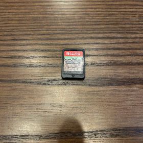 ロ*ん様 Switchソフト マインクラフト