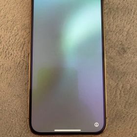 Apple iPhone12pro Max 256GB