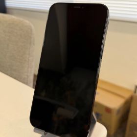 iPhone 12Pro MAX 256 GB パシフィックブルー SIMフリー 動作確認済み IMEI：356720110365742