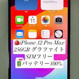 iPhone 12 Pro Max 256GB グラファイト SIMフリー