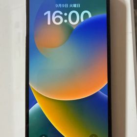 Apple iPhone 12 ProMaxグラファイト 本体