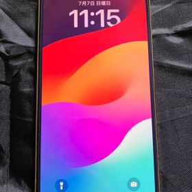 iPhone12pro max 256GB ジャンク品 Wi-Fi専用