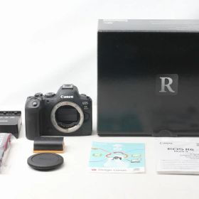 キヤノン Canon EOS R6 Mark II ボディ ブラック 僅か16000ショット以下 付属品完備 元箱◇48994