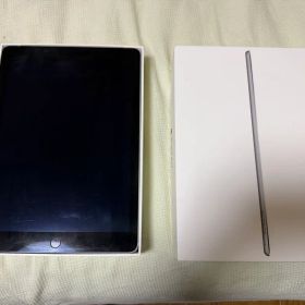 ジャンク Apple iPad Air 2 本体 MGHX2J/A
