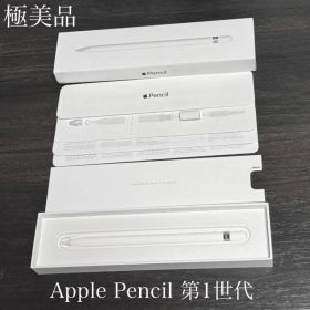 極美品 付属品有り 正常動作確認済み Apple Pencil 第1世代