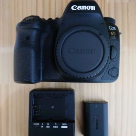美品 Canon キャノン EOS 6D Mark II デジタル一眼レフカメラ