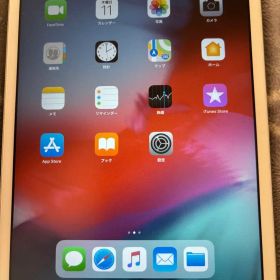 Apple iPad mini2 16GB