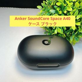 Anker SoundCore Space A40 ケース ブラック