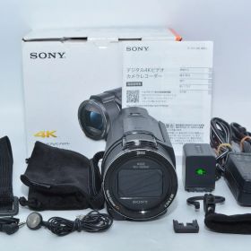 ソニー SONY Handycam FDR-AX60