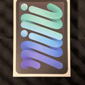 「値下げ交渉可」iPad mini (第7世代) 512GB WiFiモデル