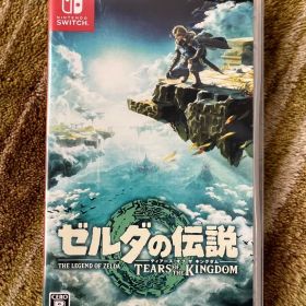 ゼルダの伝説 ティアーズ オブ ザ キングダム