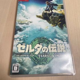 ゼルダの伝説 ティアーズ オブ ザ キングダム