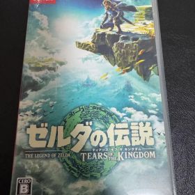 ゼルダの伝説 ティアーズ オブ ザ キングダム