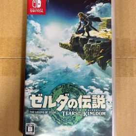 ゼルダの伝説 ティアーズ オブ ザ キングダム