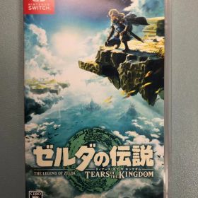 ゼルダの伝説 ティアーズ オブ ザ キングダム