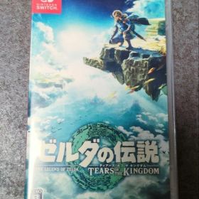 ゼルダの伝説 ティアーズ オブ ザ キングダム