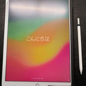 【すぐお絵描きできる】iPad Pro 12.9 第2世代 64GB