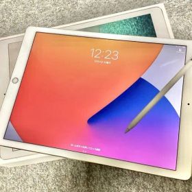 美品iPad Pro 第2世代 256GB Wi-Fiモデル＋Appleペンシル
