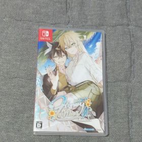 Switch Honey Vibes 通常版 ハニヴ