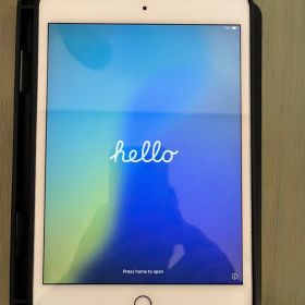 Apple iPad mini 第5世代 64GB Wi-Fi+cellular