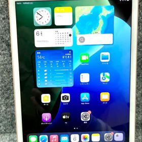 iPad mini 5 64GB Gold 本体