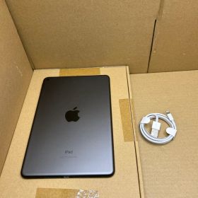Apple iPad mini (第５世代) Wi-Fi 64GB