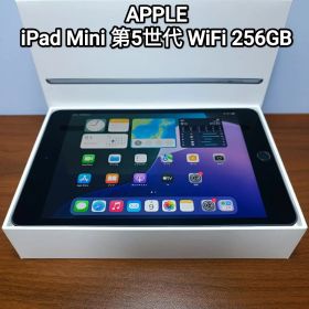 (美品) iPad Mini 第5世代 WiFi 256GB