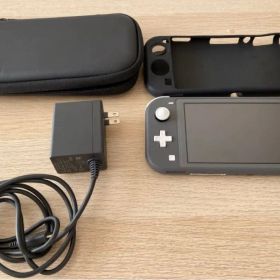 Nintendo Switch Lite グレー 充電器・ケース付き