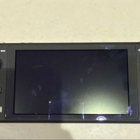 Nintendo Switch Lite グレー 本体