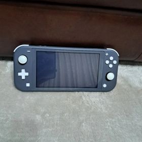 Nintendo Switch Lite グレー