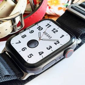 ”アップルウォッチ SE 1世代 ４４mm セルラー Apple Watch WAG02