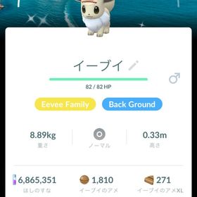 🥇非対面トレード🥇色違いイーブイ♂ サファリ背景付き | ポケモンGOのアカウントデータ、RMTの販売・買取一覧