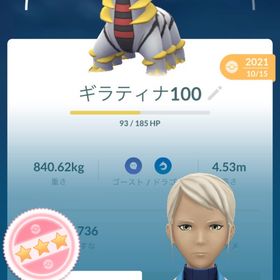 ポケモンgo引退品 | ポケモンGOのアカウントデータ、RMTの販売・買取一覧