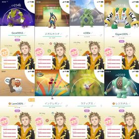 🔸TL67の💯ランドロス、💯レジギガス、98%✨色違いシャドウグラードン、💯色違いレジスチル | ポケモンGOのアカウントデータ、RMTの販売・買取一覧