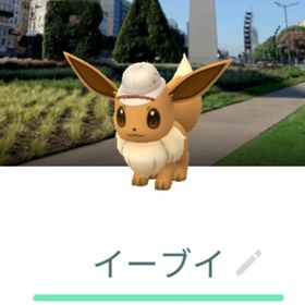 サファリ帽子イーブイ 背景トレード ブエノスアイレス | ポケモンGOのアカウントデータ、RMTの販売・買取一覧