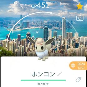 激レア！✨✨色違いイーブイホンコン背景付き！🎉🎉 | ポケモンGOのアカウントデータ、RMTの販売・買取一覧