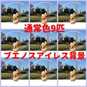 492⭐️PTC⭐️ブエノスアイレス背景イーブイ9匹 | ポケモンGOのアカウントデータ、RMTの販売・買取一覧