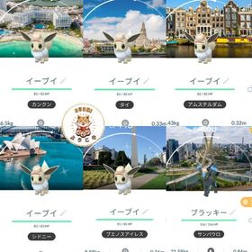 《🌍シティサファリ》✨色違いイーブイ | ポケモンGOのアカウントデータ、RMTの販売・買取一覧