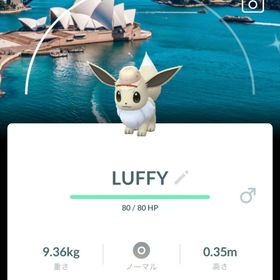 🔥✨色違いイーブイ（オーストラリア・シドニー背景） | ポケモンGOのアカウントデータ、RMTの販売・買取一覧